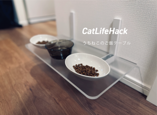 うちねこのご飯テーブル