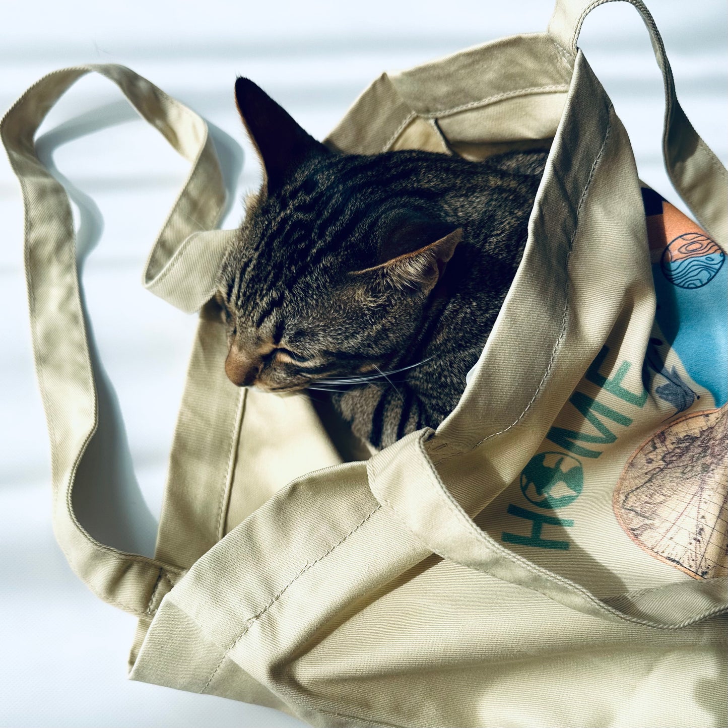 CATPERSON Tote Bag
