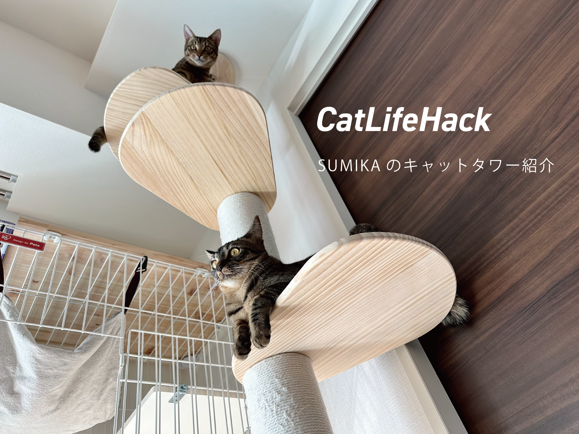 SUMIKA キャットタワー SUMIKAのキャットタワー – THINKING CITY