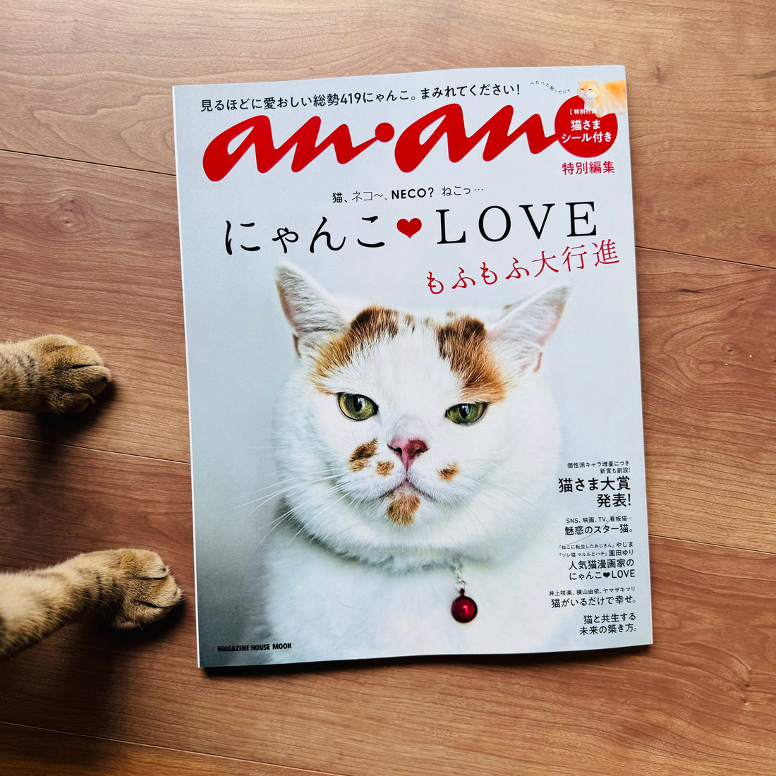 anan猫雑誌