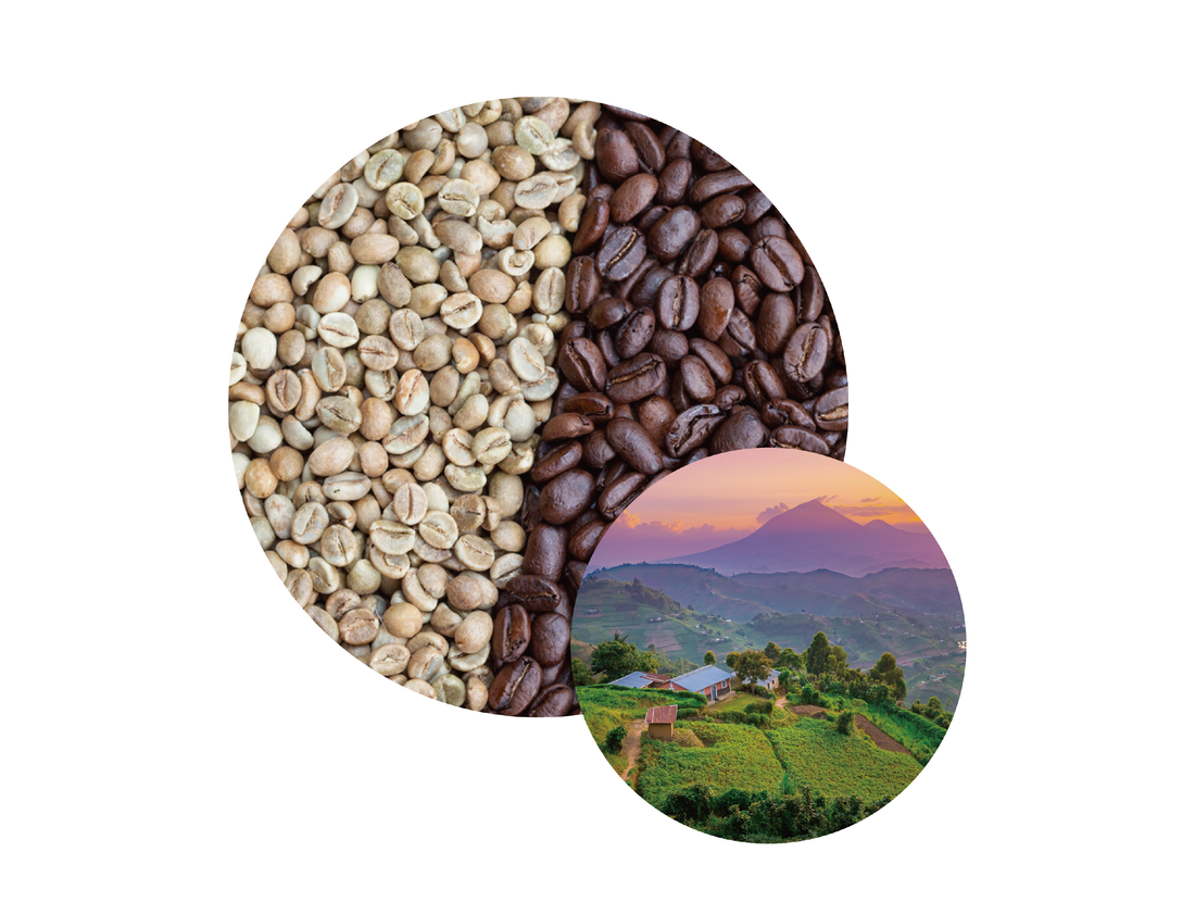 Fairtrade Coffeeを飲むことで起きる変化
