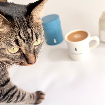 THINKING CITY COFFEE マグカップ