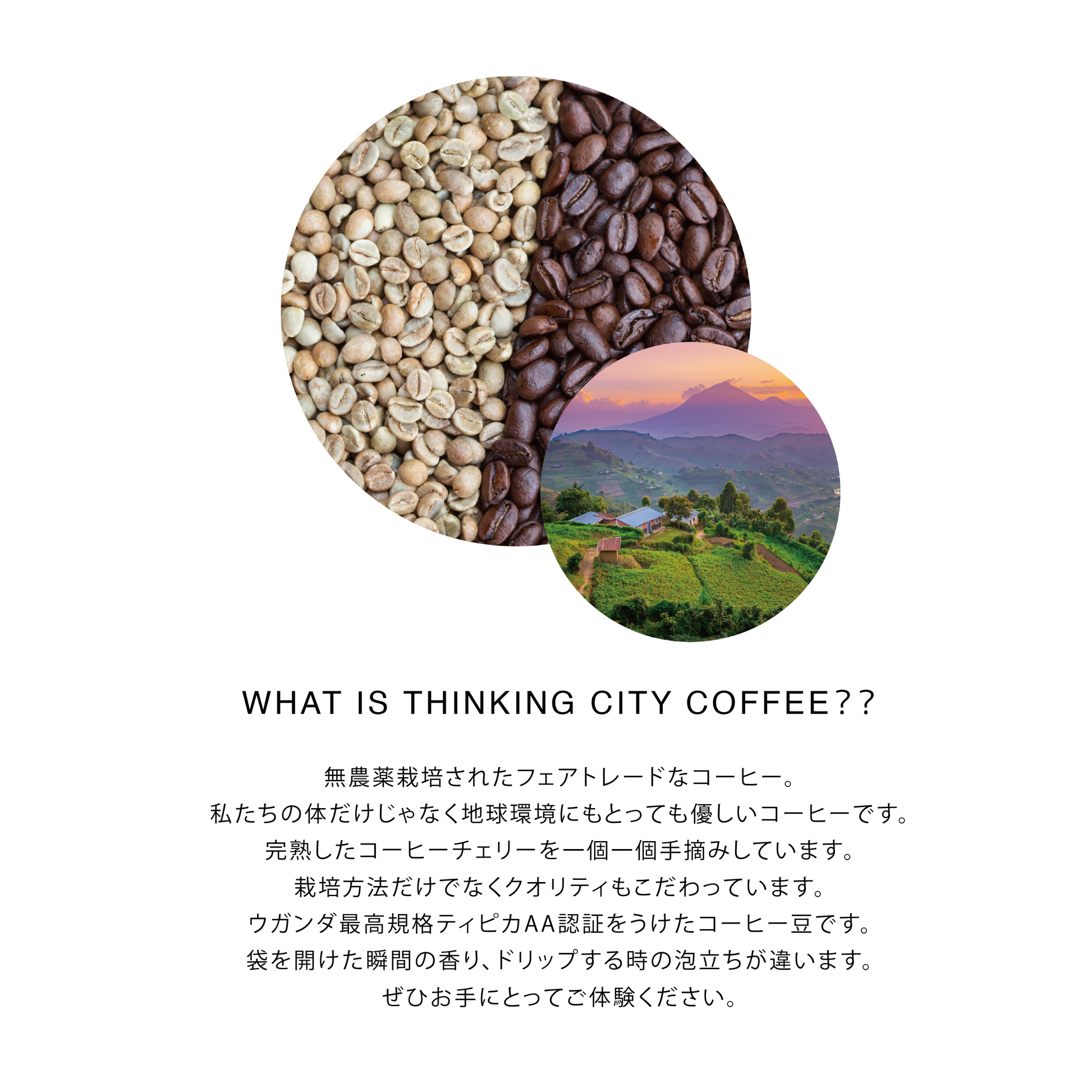 THINKING CITY COFFEEとは
